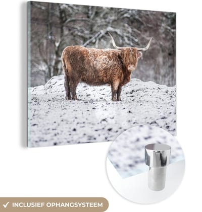 MuchoWow® Glasschilderij 160x120 cm - Schilderij acrylglas - Schotse Hooglander - Boom - Sneeuw - Foto op glas - Schilderijen