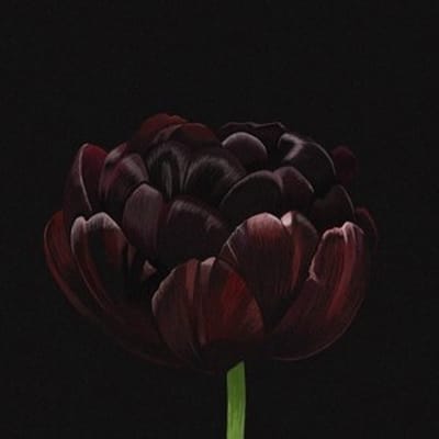 Gold Hick - Formed At Depth (CD) (Limited Edition)