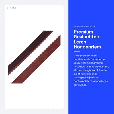 Dailygoods- Hondenriem Premium Leren - Gevlochten Training Koord - 1,6 Meter - Geschikt voor Middelgrote/Grote Honden - Zwart - Schokbestendig - Hondentuig