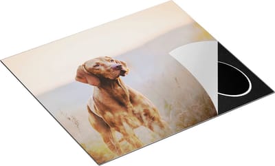 Chefcare Inductie Beschermer Hongaarse Vizsla Hond in het Gras - 60x50 cm - Afdekplaat Inductie - Kookplaat Beschermer - Inductie Mat