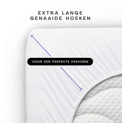 Schlafgut Pure Jersey Hoeslaken L - 140x200 - 160x220 181 Off-Withe