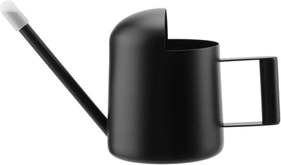 Mini gieter voor kamerplanten - Roestvrijstalen gieter met lange hals, 300 ml - Ideaal voor potplanten en groene planten