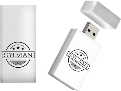 SYLVIAN naam kado verjaardagscadeau cadeau usb stick 16GB - naam cadeau, gefeliciteerd cadeau