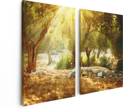Artaza Canvas Schilderij Tweeluik Olijfbomen - Olijfboomgaard  - 80x60 - Foto Op Canvas - Canvas Print