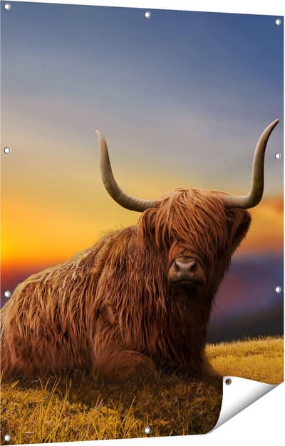 Gards Tuinposter Schotse Hooglander Koe op een Heuvel - 90x120 cm - Tuindoek - Tuindecoratie - Wanddecoratie buiten - Tuinschilderij