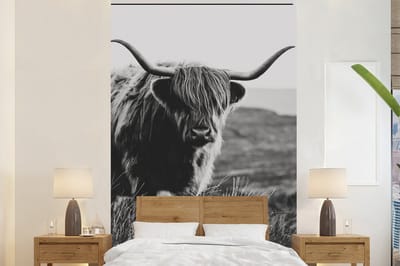 Behang - Fotobehang Schotse hooglander - Natuur - Koeien - Dieren - Zwart wit - Breedte 155 cm x hoogte 240 cm