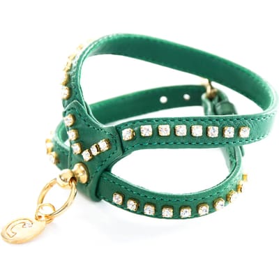 Hondentuig Carlain AGN Strass