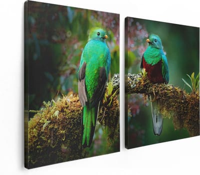 Artaza Canvas Schilderij Tweeluik Twee Groene Quetzal Vogels Op Een Tak - 120x80 - Foto Op Canvas - Canvas Print