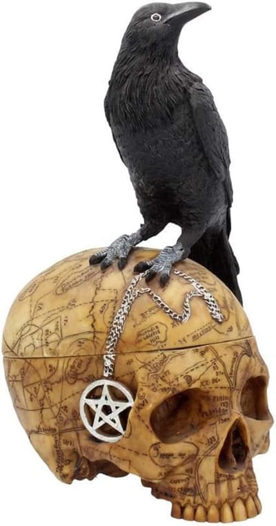 Decoratieve Doos - Opbergdoos Skelet - Stijlvolle Opslag - Gotisch Raven Design - 27 cm - Zwart