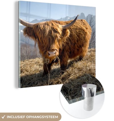 MuchoWow® Glasschilderij 50x50 cm - Schilderij acrylglas - Schotse Hooglander - Berg - Sneeuw - Foto op glas - Schilderijen