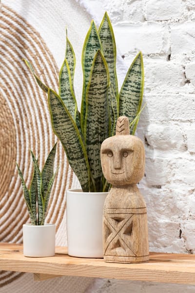 J-Line plant Sansevieria in pot - kunststof - groen - medium