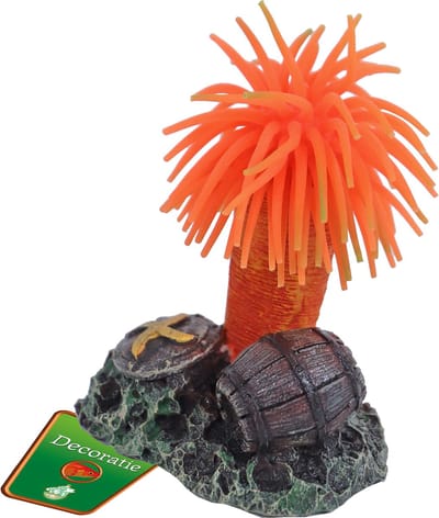 De Boon Annemoon + Rots 9CM