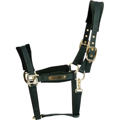 Kentucky Horsewear - Velvet halster dannengroen Full