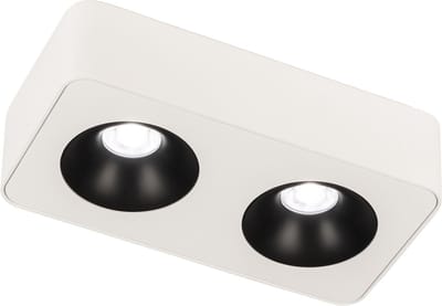 Lumidora Opbouwspot 75059 - NEWCASTLE - 2 Lichts - Ingebouwd LED - 10.0 Watt - 800 Lumen - 2700 Kelvin - Wit - Metaal - Badkamerlamp