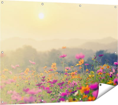 Gards Tuinposter Bloemenveld met Kosmos - Zonsondergang - 120x90 cm - Tuindoek - Tuindecoratie - Wanddecoratie buiten - Tuinschilderij