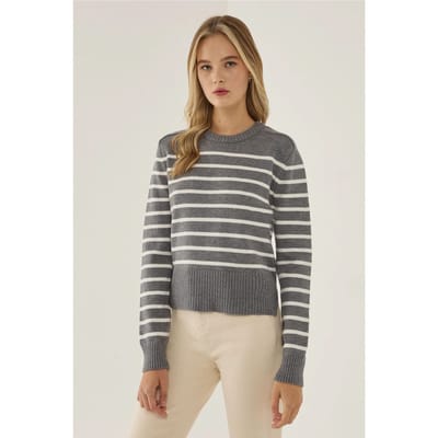 Gestreepte Crew Neck Trui