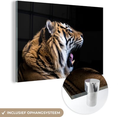 MuchoWow® Glasschilderij 150x100 cm - Schilderij acrylglas - Tijger - Dieren - Portret - Foto op glas - Schilderijen