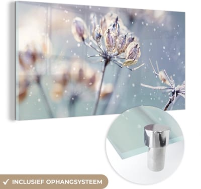 MuchoWow® Glasschilderij 120x60 cm - Schilderij acrylglas - Bloemen - Sneeuw - IJs - Winter - Botanisch - Foto op glas - Schilderijen