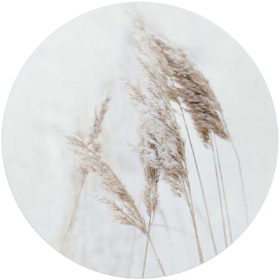 Glasschilderij Pampasgrassen - Ø 70 - Glas - REINDERS