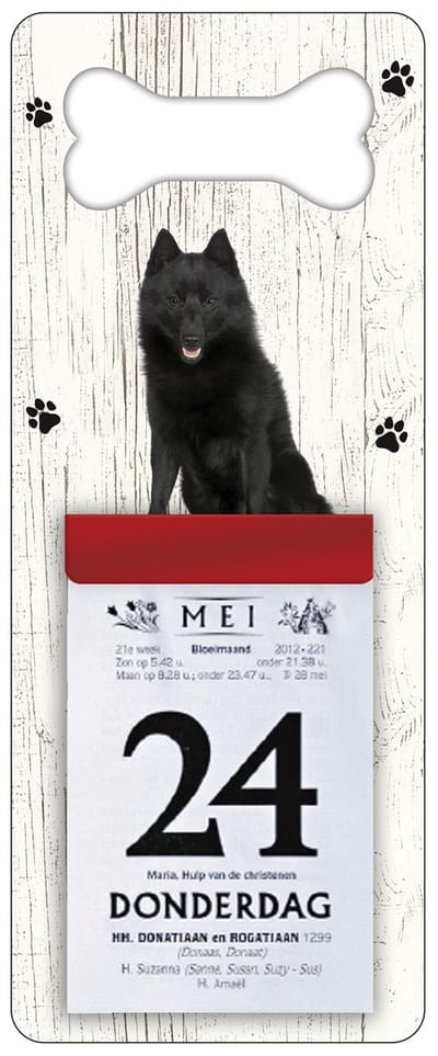 Scheurkalender 2027 Hond: Schipperke