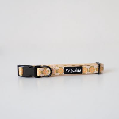 Pip & Palms - Honden Halsband Sevilla Sunset - Oranje - Maat XS (22–30 cm) - 1,5cm breed - Comfortabel & Stijlvol - Hondenhalsband - voor Kleine honden