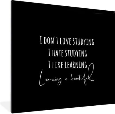 Fotolijst incl. Poster - Quote - Studeren - Leren - Zwart - 40x40 cm - Posterlijst