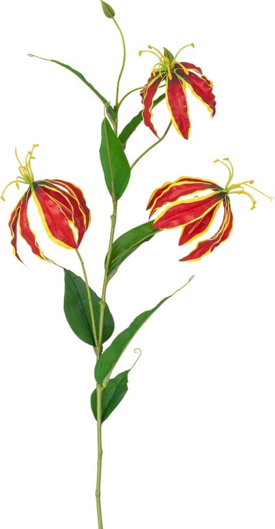 Easyplants | Kunstbloem Gloriosa Real Touch Rood 75 cm | Zijde | Nepbloemen | rood | Onderhoudsvrij | Kant-en-klaar
