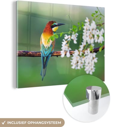 MuchoWow® Glasschilderij 40x30 cm - Schilderij acrylglas - Vogel - Bijeneter - Bloemen - Foto op glas - Schilderijen