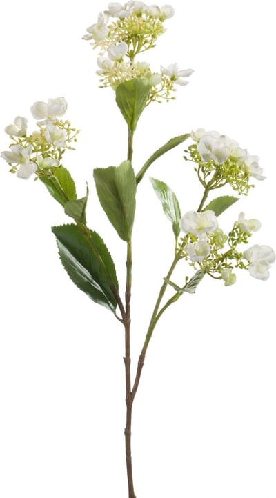 Emerald - Kunstbloem Hortensia 75cm crème - Kunstplant voor binnen