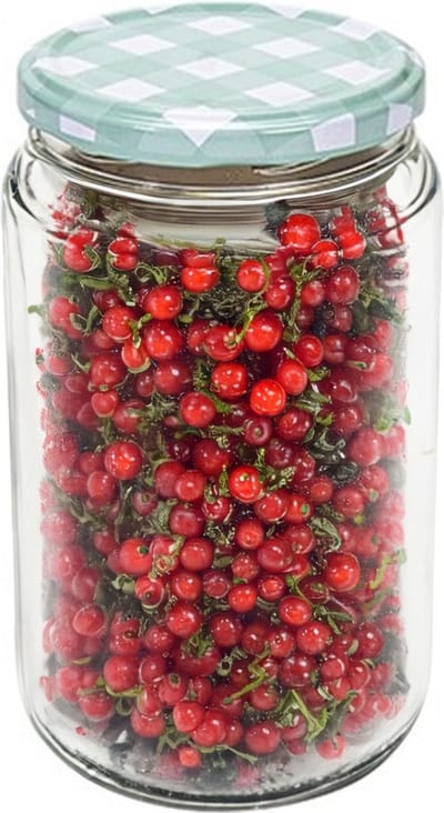 Hega Hogar Weckpot/voorraadpot Classico - 750 ml - kunststof - draaideksel - groen - D8 x H14 cm
