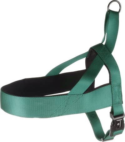 Flamingo Abbi Noors - Harnas Honden - Noors Harnas Abbi Groen Xl 65-80cm 25mm - 1st - 190723 - 1st