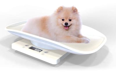 VIN® Dierenweegschaal – Hondenweegschaal – Digitale Weegschaal – Babyweegschaal Met Capaciteit tot 10 kg – Personenweegschaal Met Antislip Bodem