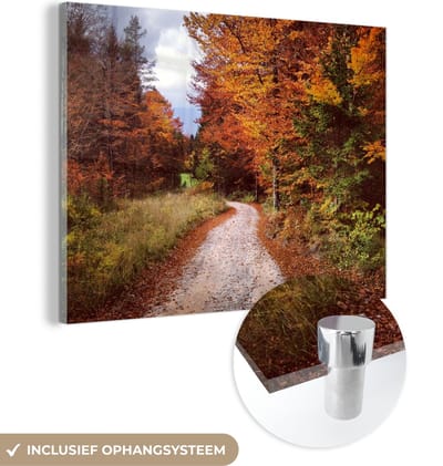 MuchoWow® Glasschilderij 40x30 cm - Schilderij acrylglas - Herfst - Herfstbladeren - Pad - Bos - Foto op glas - Schilderijen