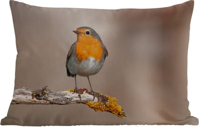 Buitenkussens - Tuin - Roodborstje - Vogel - Tak - Dieren - 50x30 cm