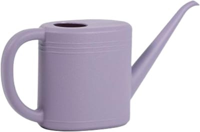 Plantengieter 1 Liter - Kleine Gieter Lange Uitloop - Kamerplanten Binnen Buiten - Ergonomisch Lichtgewicht Ontwerp