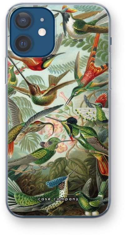 Case Company® - Hoesje geschikt voor iPhone 12 hoesje - Haeckel Trochilidae - Soft Cover Telefoonhoesje - Bescherming aan alle Kanten en Schermrand