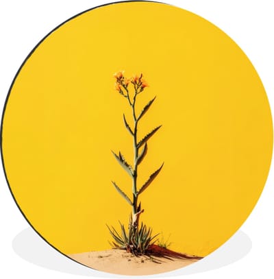 WallCircle - Wandcirkel - Muurcirkel - Zand - Plant - Geel - Minimalitisch - Aluminium - Dibond - 30x30 cm - Binnen en Buiten