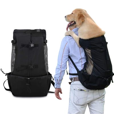 Hondendraagtas Rugzak – Waterdichte reistas voor kleine honden – Geschikt voor wandelen, fietsen & reizen – 55x28x12 cm – Zwart – Inclusief veiligheidsriem & ventilatiegaas