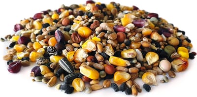 Duivenvoer 2,5KG - Karpervissen - Partikels - Karper Aas - Karper Vissen - Karper Voer - Karper