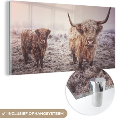 MuchoWow® Glasschilderij 40x20 cm - Schilderij acrylglas - Schotse Hooglanders - Sneeuw - Zon - Foto op glas - Schilderijen