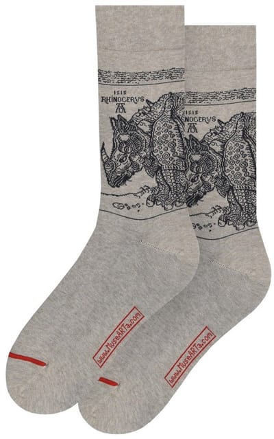 Albrecht Dürer - The Rhinoceros 36-40