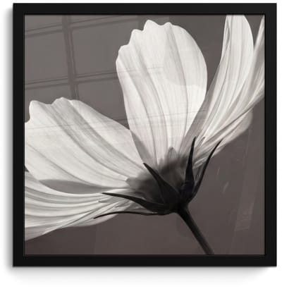 Poster in lijst - Fotolijst 40x40 cm - Posters - Bloem - Minimalistisch - Zwart - Wit - Posterlijst zwart - Decoratie - Wanddecoratie woonkamer - Muurdecoratie slaapkamer