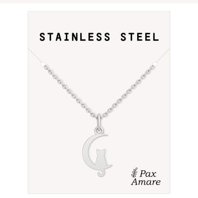 Stainless Steel Maan Katje Ketting Zilverkleurig - 45cm + 5cm Verstelbaar Roestvrij Staal - Schattige Cadeau Hanger - Pax Amare