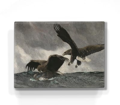 Zeearenden - Bruno Liljefors - 26 x 19,5 cm - Niet van echt te onderscheiden schilderijtje op hout - Mooier dan een print op canvas - Laqueprint.