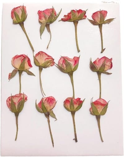 Gedroogde Bloemen - Decoratie Bloemen - Hobby Knutselen - Natuurlijke Materialen - 12 Stuks - Roze