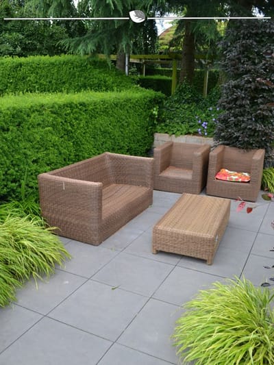 Venijnboom Taxus media Hillii 50-60 cm, 10x Haagplant