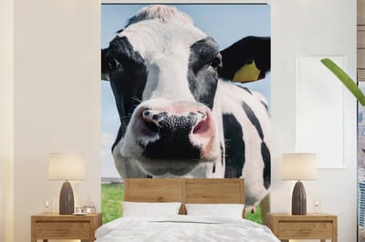 Behang - Fotobehang Koe - Weiland - Natuur - Dieren - Gras - Breedte 170 cm x hoogte 260 cm