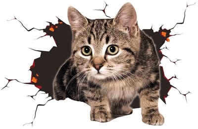 Dailygoods- Kattensticker 3D - Veelkleurig - PVC - Afneembaar - Auto sticker voor auto decoratie - Afmetingen 18 x 24 cm - Universeel toepasbaar - Autosticker