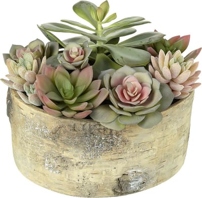 Kunstplant succulent vetplant In sierpot 26 x 26 x 19 cm