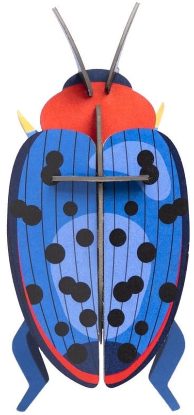 Studio ROOF Weevil Beetle
